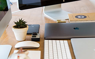 DK植物大百科（新版）